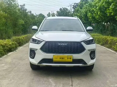2018 Haval H6 Coupe Red Label 1.5T Auto 2WD Luxury Edition, фото 2, лот 10283145