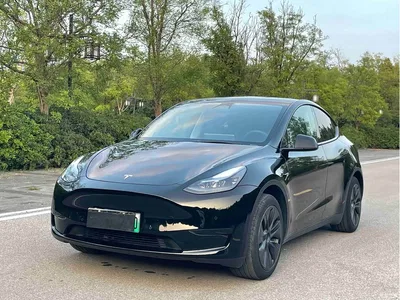2023 Tesla Model Y Rear-Wheel Drive Edition, фото 1, лот 10587492