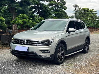 2018 Volkswagen Tiguan L 380TSI Automatic AWD Luxury Edition, фото 1, лот 11547584