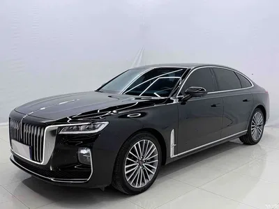 2020 Hongqi H9 2.0T Smart Connection Qi Xiang Edition, фото 1, лот 10415764