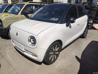 2021 Ora Black Cat 351km Standard Model, фото 2, лот 10447798