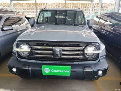 2021 Tank 300 Urban Edition 2.0T Stylish, фото 3, лот 10345317