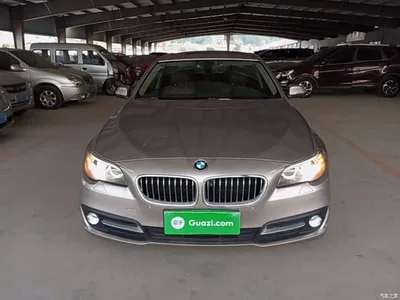2015 BMW 5 Series (Import) 520i Elegance, фото 3, лот 10812613