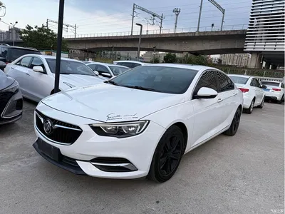 2017 Buick Regal 20T Elite Type, фото 1, лот 10252495