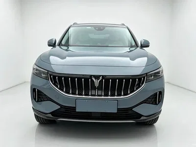 2021 Voyah Auto VOYAH FREE 4WD Extended Range Launch Edition Exclusive Luxury Package, фото 2, лот 10310995