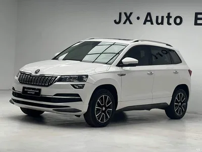 2022 Škoda Karoq TSI280 Premium Edition, фото 1, лот 10842616