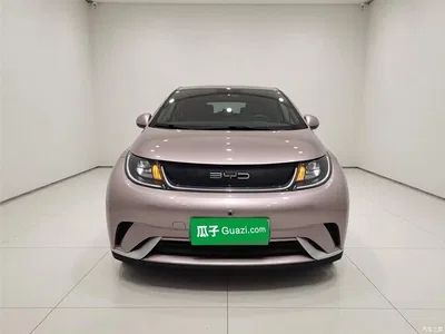 2023 BYD Dolphin 420km Freedom Edition, фото 3, лот 10264562