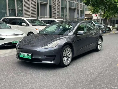 2022 Tesla Model 3 Model Rear-Wheel Drive Version, фото 1, лот 10354827