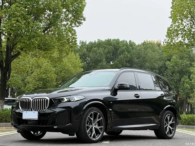 2023 BMW X5 xDrive 30Li Premium M Sport Black Night Package, фото 1, лот 10956498