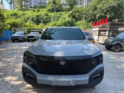 2024 Changan Hunter Warrior Edition Luxury Dual Motor AWD Extra Long Box, фото 2, лот 10251097