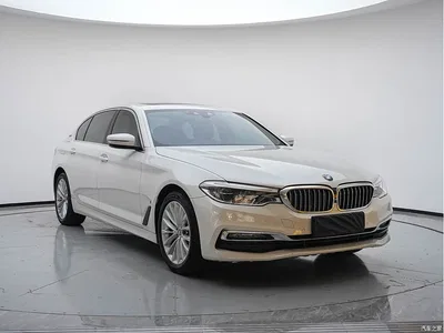 2019 BMW 5 Series New Energy 530Le Luxury Package, фото 3, лот 11134095
