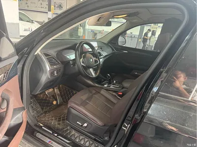 2020 BMW X3 xDrive25i M Sport Package, фото 4, лот 10587259