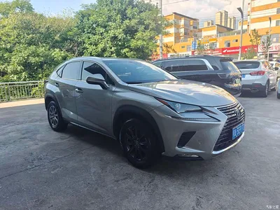 2018 Lexus NX Model 200 AWD Fengshang Edition China V, фото 3, лот 10314758