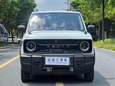 2024 Geely Galaxy Panda 200km Panda Knight, фото 2, лот 10429335