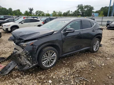 2025 LEXUS NX 350H PREMIUM, фото 1, лот 10906620