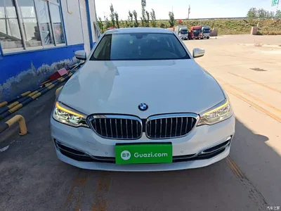 2020 BMW 5 Series 530Li Leading Luxury Package, фото 3, лот 11501766