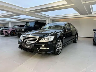 2010 Mercedes-Benz S-Class AMG AMG S 65, фото 1, лот 11241891