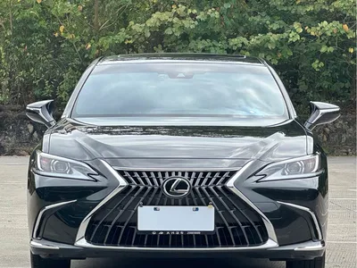 2023 Lexus ES 200 Excellence Edition, фото 2, лот 10313498