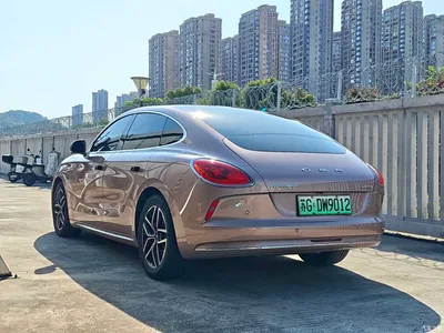 2022 Ora Lightning Cat 555km Premium Edition, фото 4, лот 10332237