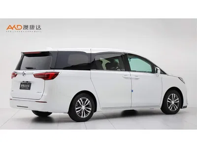 2023 Buick GL8 ES Landmaster Comfort, фото 3, лот 10275481