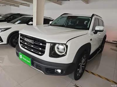 2021 Haval Big Dog 1.5T DCT 2WD Border Collie - Wangcai Edition, фото 1, лот 10361280