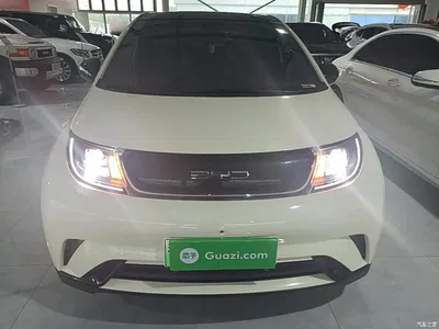 2021 BYD Dolphin Model 405km Fashion Edition, фото 3, лот 10264243