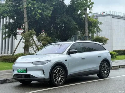 2023 Leapmotor C11 Pure Electric 500 Comfort Edition, фото 1, лот 10478772