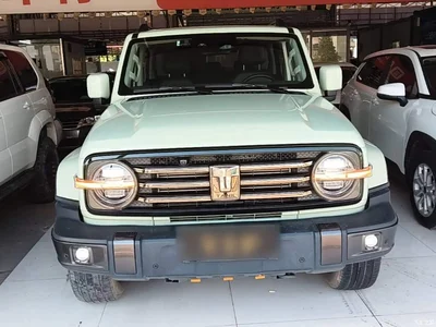 2021 Tank 300 Urban Edition 2.0T Stylish, фото 3, лот 10345367