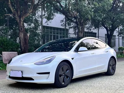 2021 Tesla Model 3 Standard Range Rear-Wheel Drive Upgrade, фото 1, лот 11221027