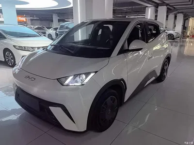 2023 BYD Seagull Freedom Edition, фото 1, лот 10262795