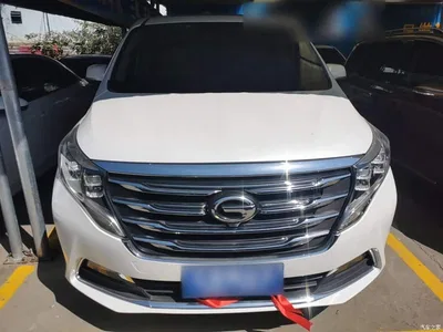 2018 GAC Trumpchi Trumpchi M8 320T Premium Edition, фото 3, лот 10421642