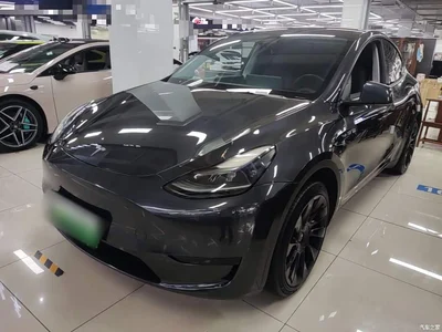 2024 Tesla Model Y Rear-Wheel Drive Version, фото 1, лот 11180752