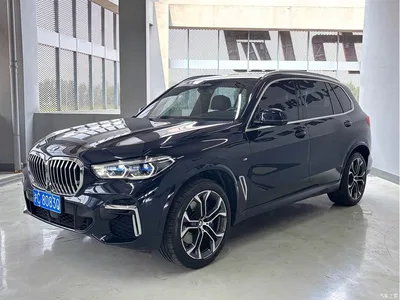 2022 BMW X5 xDrive 40Li Premium M Sport Package, фото 1, лот 10420718