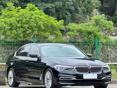 2020 BMW 5 Series 530Li Leading Luxury Package, фото 3, лот 10816012