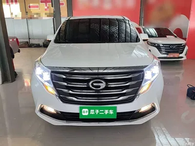 2018 GAC Trumpchi Trumpchi M8 320T Premium Edition, фото 3, лот 10425216