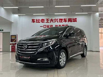 2018 GAC Trumpchi Trumpchi M8 320T Exclusive Edition, фото 1, лот 10507472