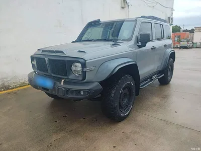 2023 Tank 300 2.0T Iron Cavalry 02, фото 2, лот 11180116