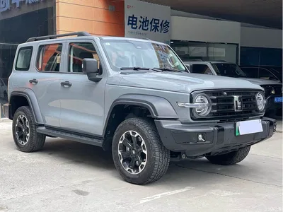 2025 Tank 300 New Energy Hi4-T, фото 3, лот 10344815