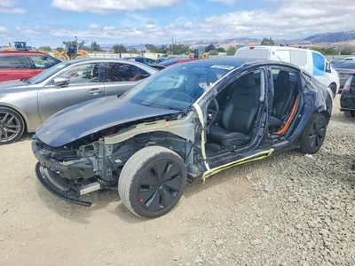 2025 TESLA MODEL 3, фото 1, лот 10709524