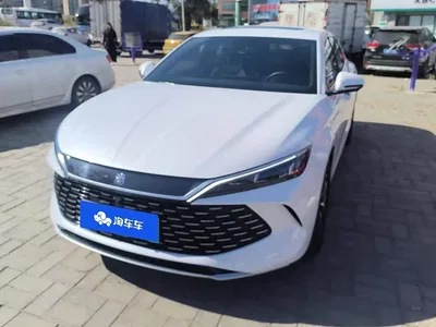 2023 BYD Qin PLUS Champion Edition DM-i 120KM Excellence, фото 1, лот 10955517