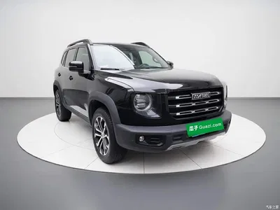 2022 Haval Big Dog 1.5T DCT FWD Border Collie Edition, фото 3, лот 11023500