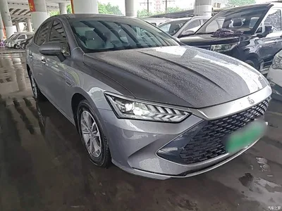 2024 BYD Qin PLUS Glory Edition DM-i 55KM Leading, фото 4, лот 10362762