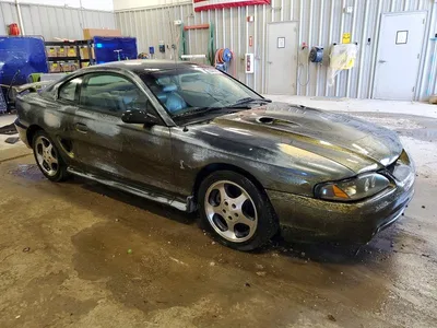 1997 FORD MUSTANG COBRA, фото 4, лот 10982771