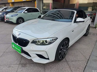 2019 BMW 2 Series (Import) 225i Convertible Coupe Sport Design Package, фото 2, лот 10471408