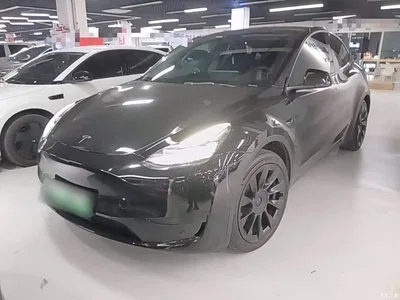 2022 Tesla Model Y Rear-Wheel Drive Version, фото 1, лот 10390579