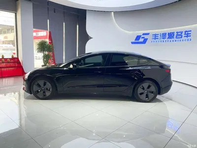2022 Tesla Model 3 Model Rear-Wheel Drive Version, фото 3, лот 10356778