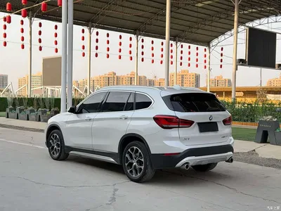 2020 BMW X1 sDrive20Li Premium Edition, фото 4, лот 10465152