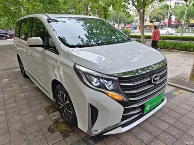 2021 GAC Trumpchi Trumpchi M8 Leading Show Series 390T Premium Edition, фото 4, лот 10425070