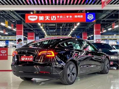 2022 Tesla Model 3 Model Rear-Wheel Drive Version, фото 4, лот 10355637