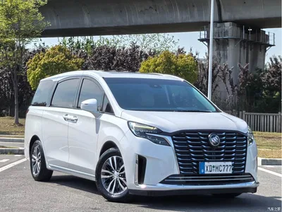 2023 Buick GL8 ES Landmaster Exclusive, фото 3, лот 10256094